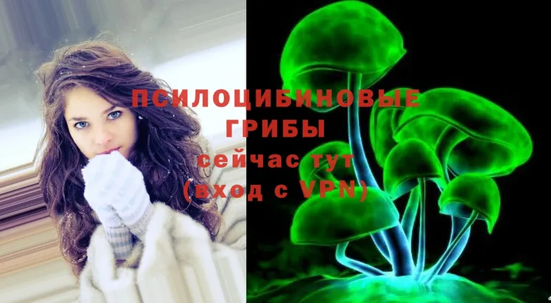 Галлюциногенные грибы GOLDEN TEACHER  mega онион  Чистополь  купить наркотики сайты 